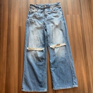 American Eagle Baggy Wide-leg Jeans